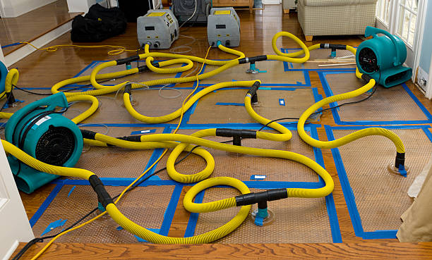 Professional Water Damage Repair technician working in Bluejacket, OK
